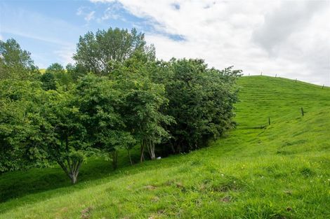 Photo of property in 1779 Ohura Road, Douglas, Stratford, 4392