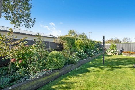 Photo of property in 114 Cornwall Street, Masterton, 5810