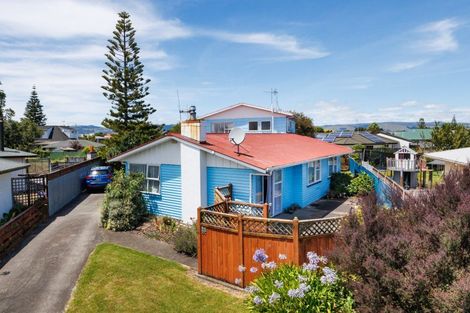 Photo of property in 17 Piper Place, Roslyn, Palmerston North, 4414