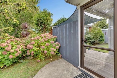 Photo of property in 201 King Street, Whakatane, 3120