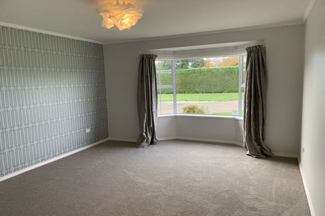 Photo of property in 91 Te Whanga Road, Levin, 5572