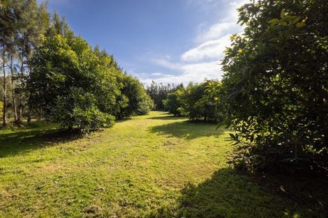 Photo of property in 55 Pine Ridge Lane, Aongatete, Katikati, 3181