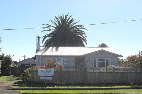 Photo of property in 31 Middlesex Street, Levin, 5510