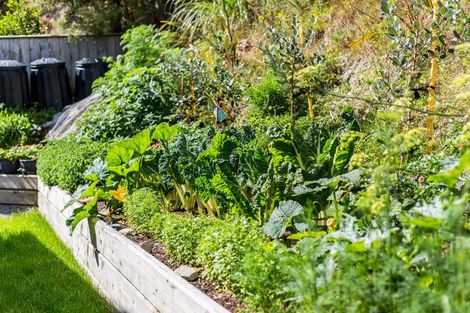 Photo of property in 22 Ships Cove, Whitby, Porirua, 5024