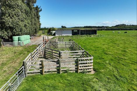 Photo of property in 693 Ryal Bush Wallacetown Road, Wallacetown, 9874