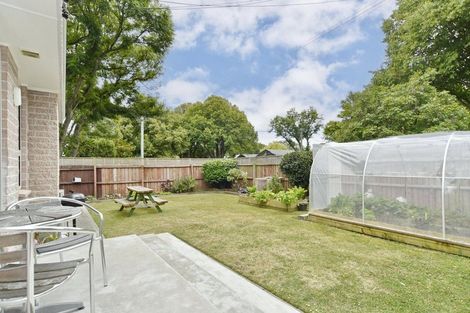 Photo of property in 1/36 Dee Street, St Albans, Christchurch, 8014