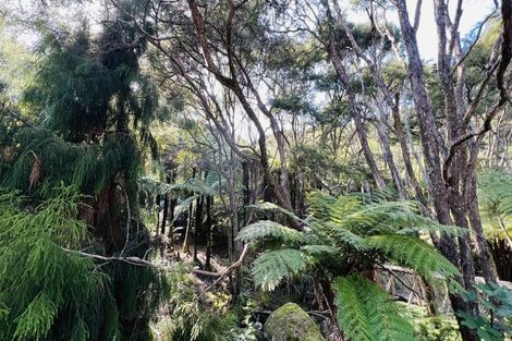 Photo of property in 600 Buffalo Road, Coromandel, 3506