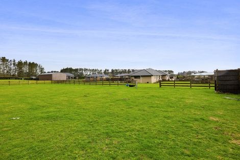 Photo of property in 34 Mercade Close, Stratford, 4332