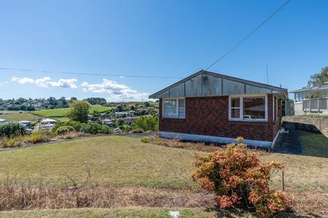 Photo of property in 35 Main North Road, Otorohanga, 3900