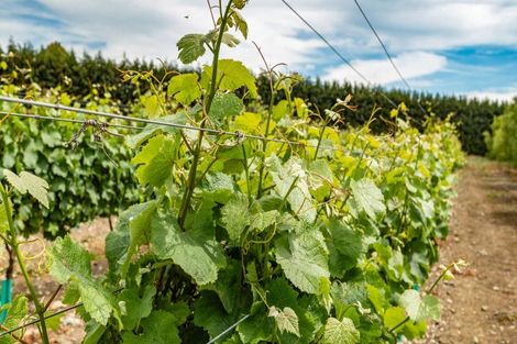 Photo of property in 375 Sharlands Road, Dunsandel, Rakaia, 7783