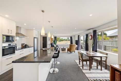 Photo of property in 28 Streamside Terrace, Kaiapoi, 7630