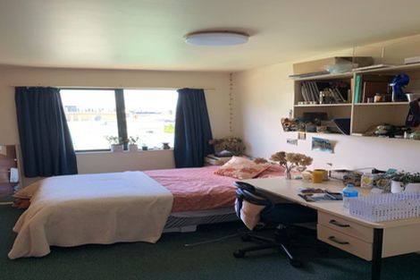 Photo of property in Te Awhina Apartments, 14/22u Sussex Street, Mount Cook, Wellington, 6021