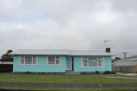 Photo of property in 43 Featherston Street, Levin, 5510