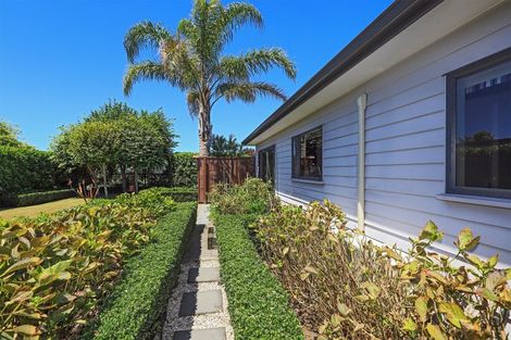 Photo of property in 6 Lardon Place, Frimley, Hastings, 4120