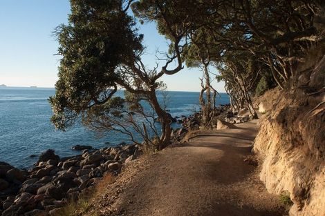 Photo of property in 202/36 Victoria Road, Mount Maunganui, 3116