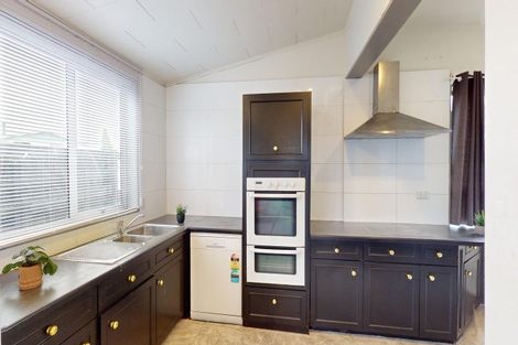 Photo of property in 93 Tiro Tiro Road, Levin, 5510