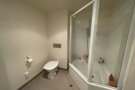 Photo of property in St Peters Apartments, 9a/192 Willis Street, Te Aro, Wellington, 6011