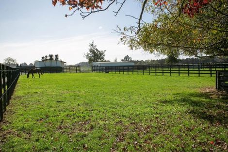 Photo of property in 273 Kaipaki Road, Ohaupo, 3881