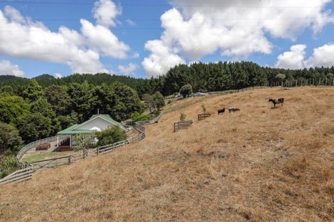 Photo of property in 561b Waingaro Road, Ngaruawahia, 3793