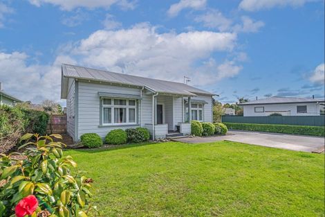 Photo of property in 19 Manson Street, Terrace End, Palmerston North, 4410