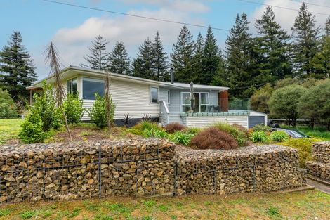 Photo of property in 19 Trapski Drive, Otorohanga, 3900