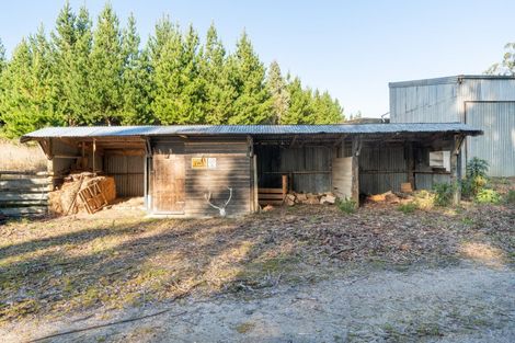 Photo of property in 1232 George King Memorial Drive, Hindon, Outram, 9074