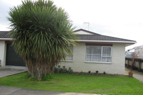 Photo of property in 1/33 Liverpool Street, Levin, 5510