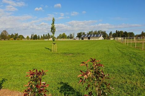 Photo of property in 242 Maraetai Rd - State Highway State Highway, Tokoroa, 3491