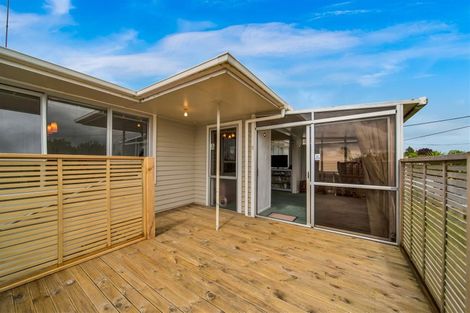 Photo of property in 49 Antonio Street, Stratford, 4332