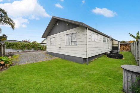 Photo of property in 113 Avalon Drive, Nawton, Hamilton, 3200
