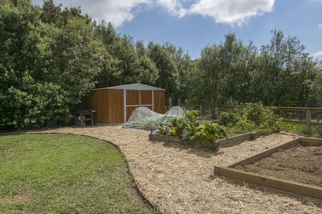 Photo of property in 217 Rocky Cutting Road, Waitao, Tauranga, 3175