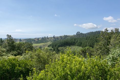 Photo of property in 217 Rocky Cutting Road, Waitao, Tauranga, 3175