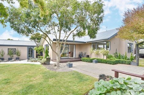 Photo of property in 39a Hills Street, Kaiapoi, 7630