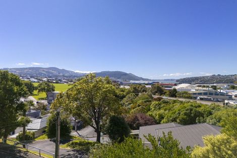 Photo of property in 73b Grosvenor Street, Kensington, Dunedin, 9011