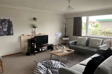 Photo of property in 176 Ngatai Road, Otumoetai, Tauranga, 3110