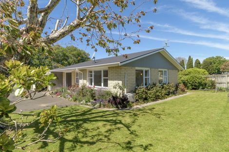 Photo of property in 48 Seventeenth Avenue, Tauranga South, Tauranga, 3112