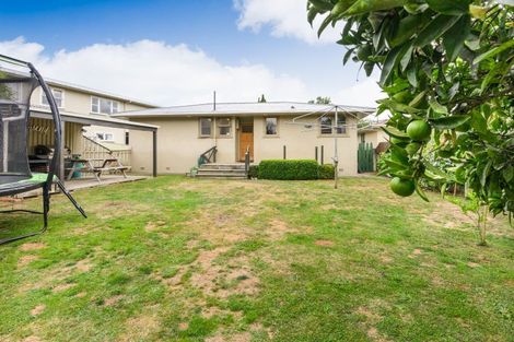 Photo of property in 55 Parkland Crescent, Terrace End, Palmerston North, 4410