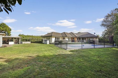 Photo of property in 6 Mansel Avenue, Hillcrest, Hamilton, 3216