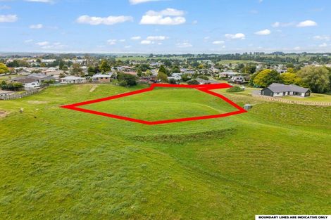 Photo of property in 27 Thornton Street, Putaruru, 3411