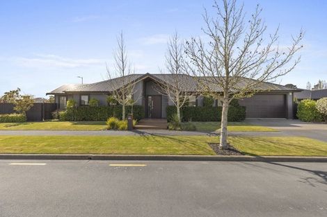 Photo of property in 42 Te Rito Street, Marshland, Christchurch, 8083