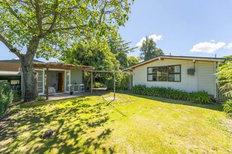 Photo of property in 33 Hinekura Avenue, Taupo, 3330