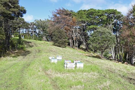 Photo of property in 99 Birdsall Road, Whangateau, 0985