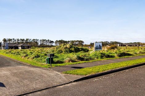 Photo of property in 115 Mercade Close, Stratford, 4332