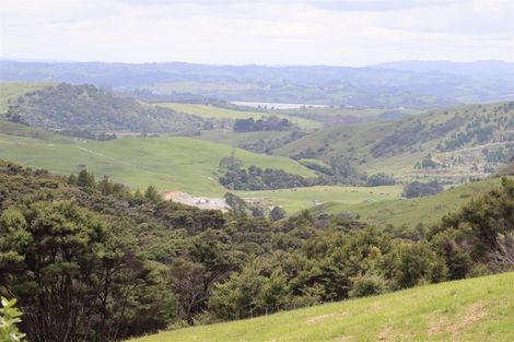 Photo of property in 60 Summer Road, Tinopai, Matakohe, 0593