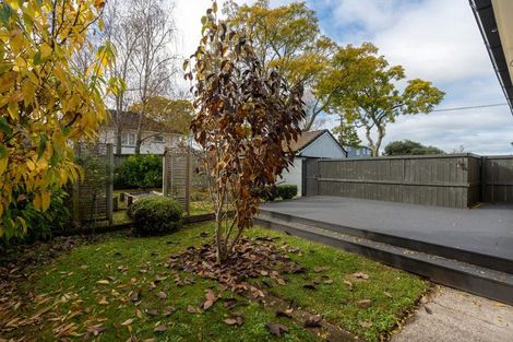 Photo of property in 38 Graham Street, Hamilton East, Hamilton, 3216