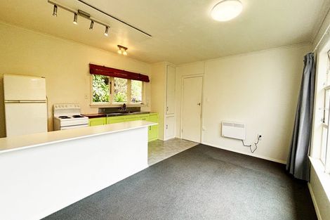 Photo of property in 51 Mortimer Terrace, Brooklyn, Wellington, 6021