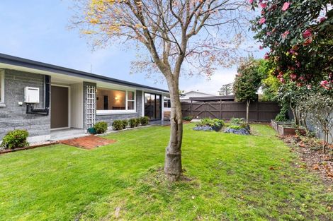 Photo of property in 50 Windsor Street, Terrace End, Palmerston North, 4410