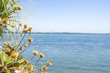 Photo of property in 14 Strange Grove, Matua, Tauranga, 3110