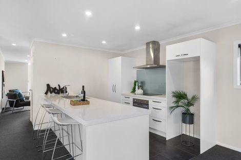 Photo of property in 65 Tennille Street, Flagstaff, Hamilton, 3210