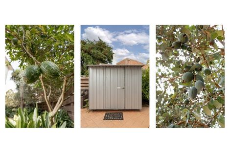 Photo of property in 18 Garden Place, Tauranga South, Tauranga, 3112